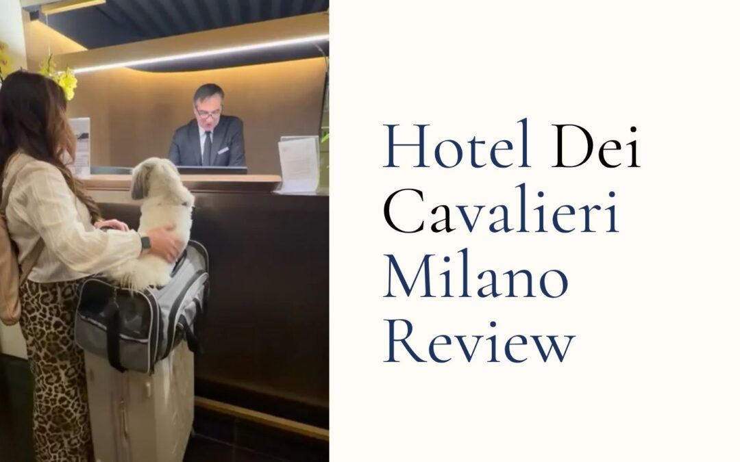 Hotel Dei Cavalieri Milan Review, Dog-Friendly and Right in the Heart of It