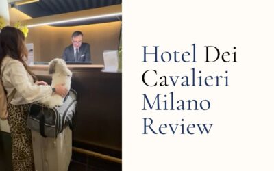 Hotel Dei Cavalieri Milan Review, Dog-Friendly and Right in the Heart of It