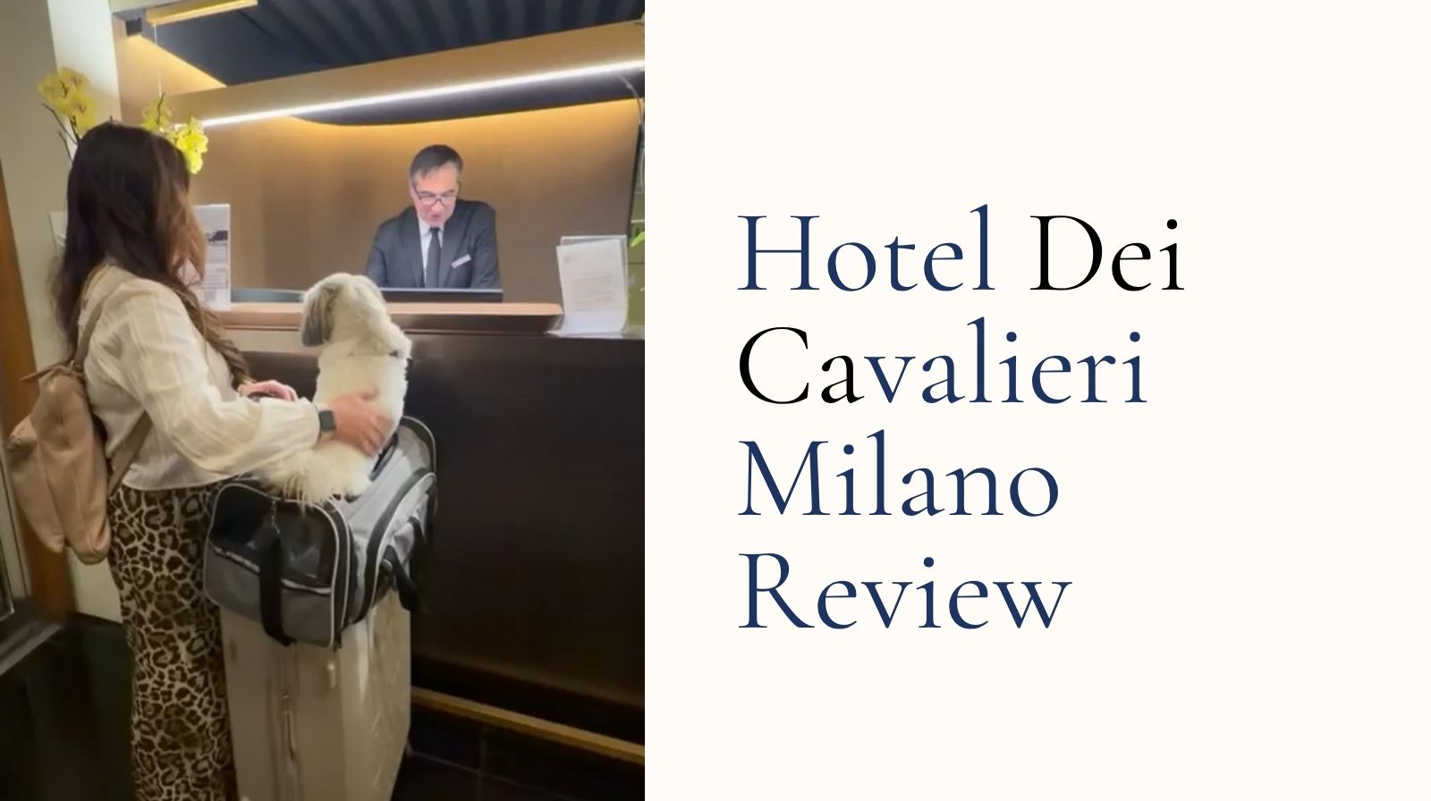 hotel dei cavalieri review dog friendly Milan