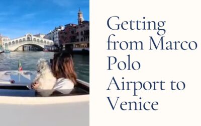 Marco Polo Airport to Venice with a Dog, Every Transfer Option Compared