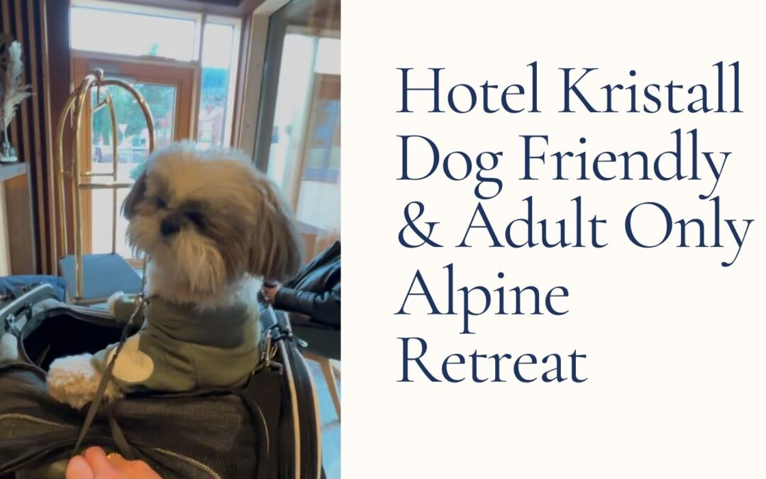 Hotel Kristall Seefeld-Leutasch Tyrol: Dog-Friendly Alpine Luxury Review
