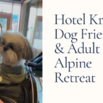 Hotel Kristall dog friendly review