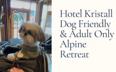 Hotel Kristall Seefeld-Leutasch Tyrol: Dog-Friendly Alpine Luxury Review
