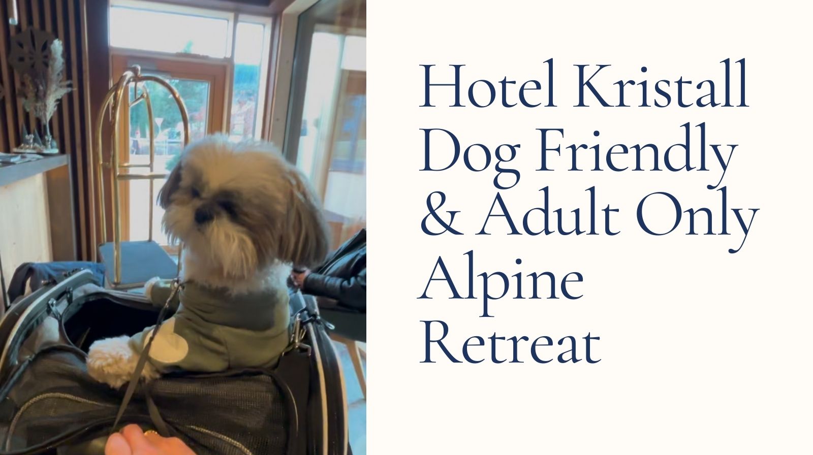 Hotel Kristall dog friendly review