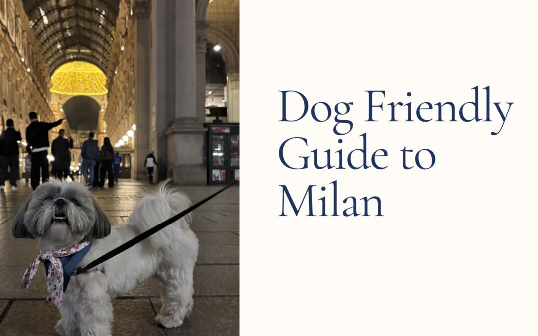 Dog-Friendly Milan – What We Loved and What to Skip
