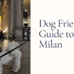 dog friendly guide to milan Italy
