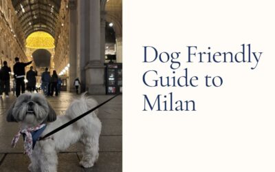 Dog-Friendly Milan – What We Loved and What to Skip