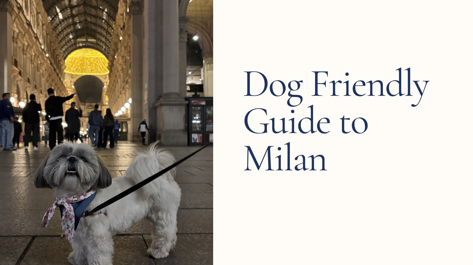 dog friendly guide to milan Italy