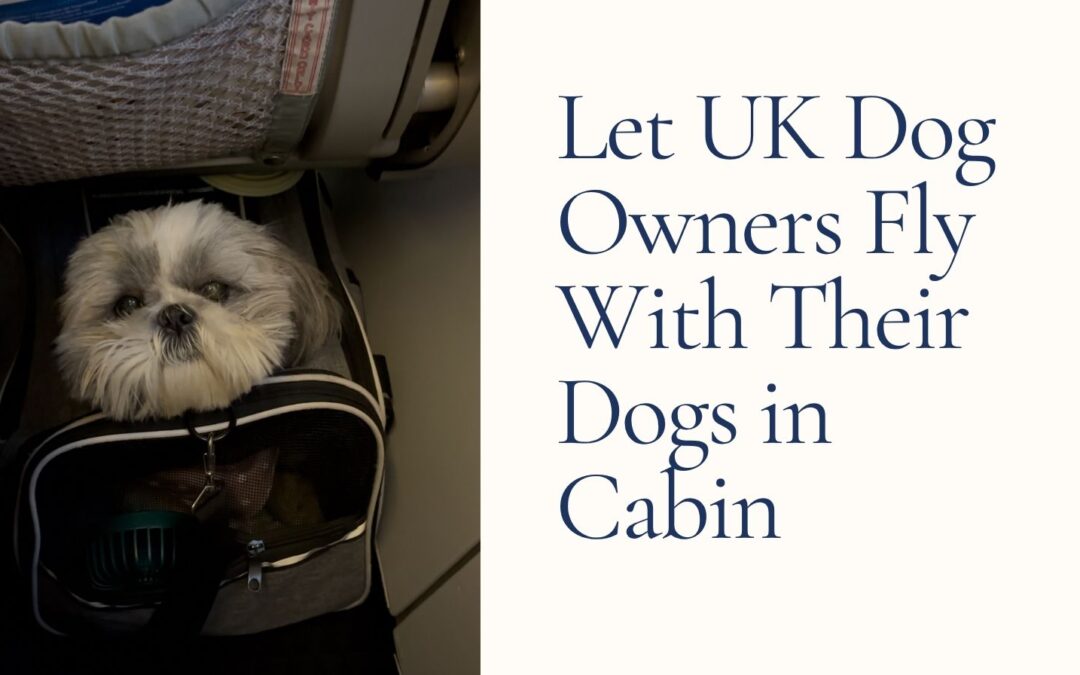 An Open Letter to DEFRA – Let UK Dog Owners Fly with Their Dogs in the Cabin
