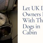why dogs can't fly pet in cabin UK