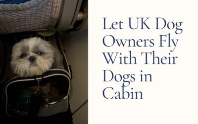 An Open Letter to DEFRA – Let UK Dog Owners Fly with Their Dogs in the Cabin