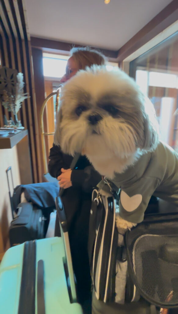 Hotel Kristall Seefeld lutasch review dog friendly adults only check in