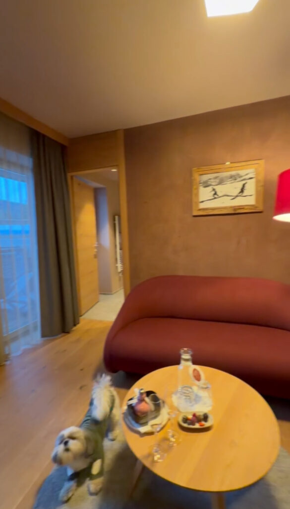 Hotel Kristall Seefeld lutasch review dog friendly adults only