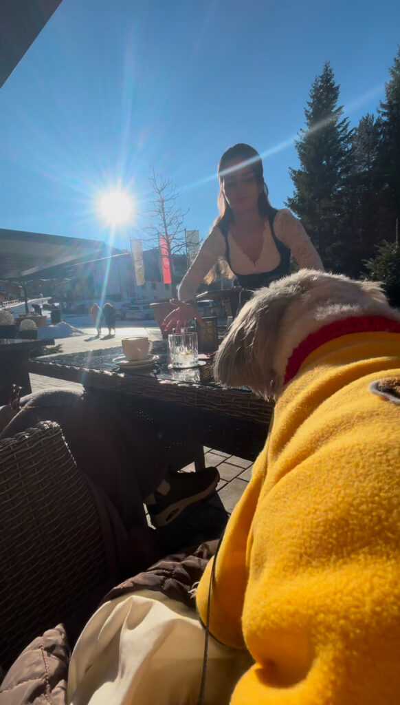 Hotel Kristall Seefeld lutasch review dog friendly adults only