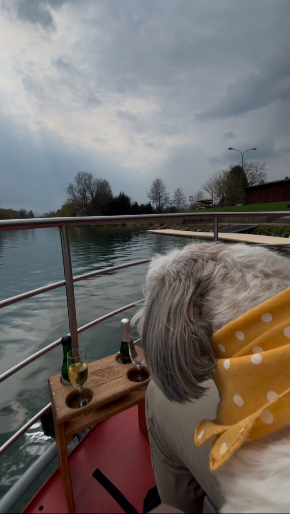 Dog travel documents required to fly with a dog to the UK including pet passport and rabies vaccination certificate