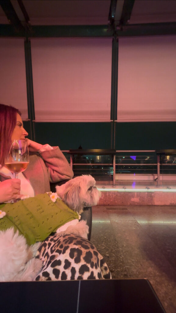 milan rooftop bar restaurant dog friendly hotel deli Cavalieri 