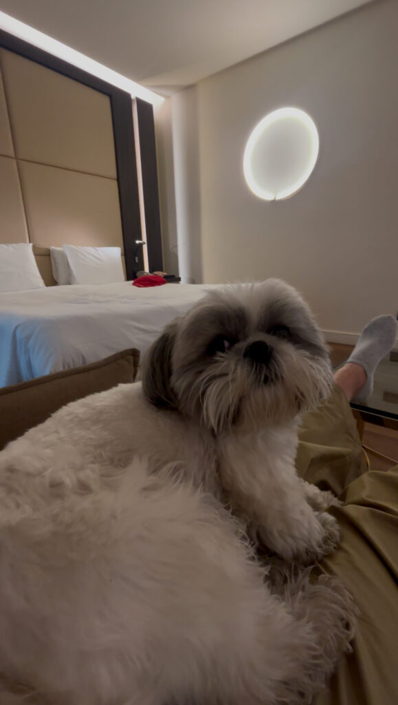 dog friendly hotel Milan centre