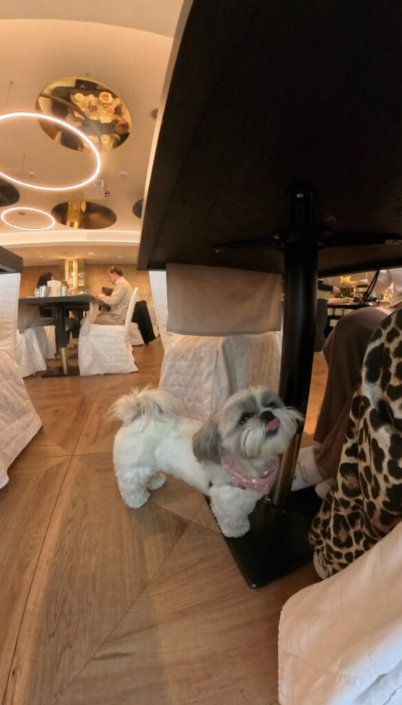 luxury dog friendly hotel Milan duomo breakfast dog allowed