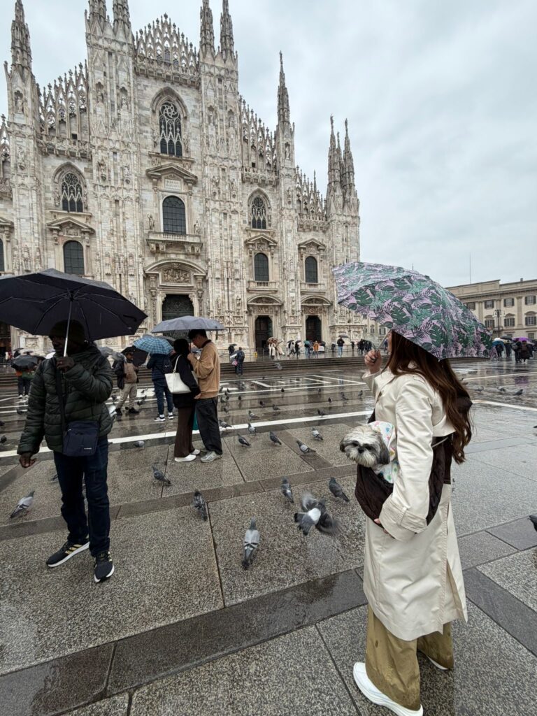 dog friendly milan duomo rain day