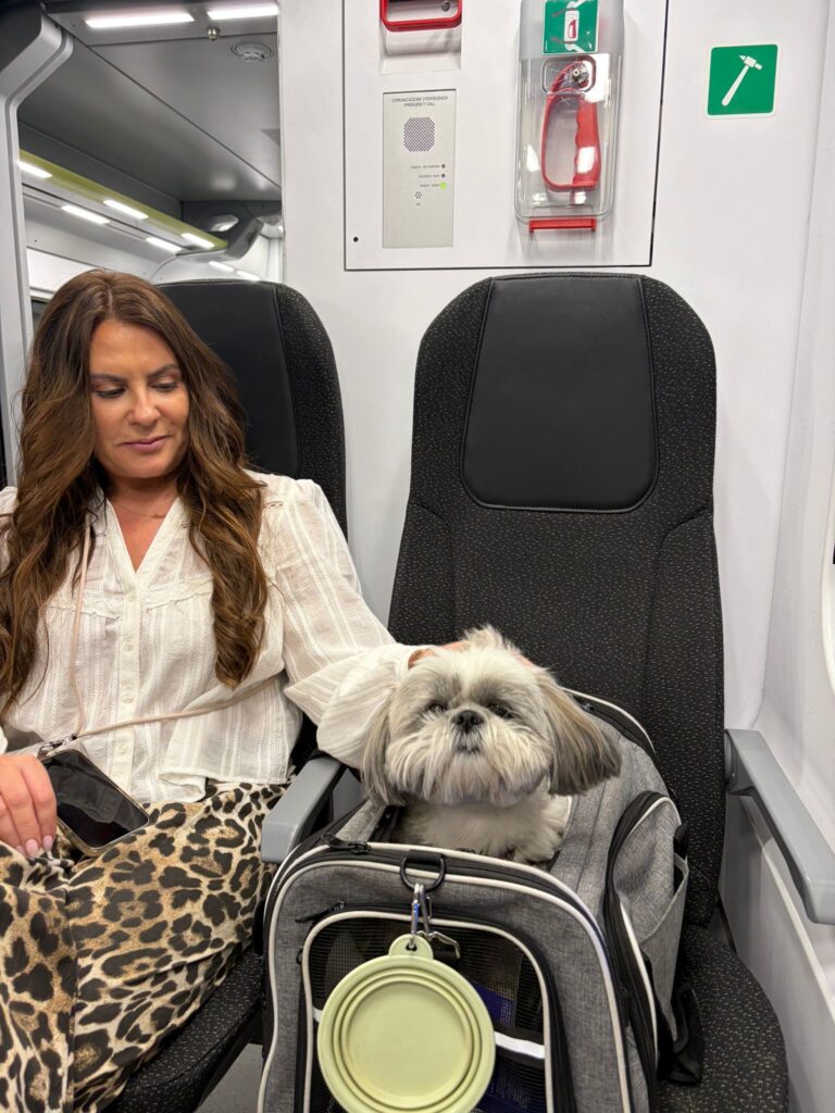 dog friendly milan bag stolen on train into milan central from exp