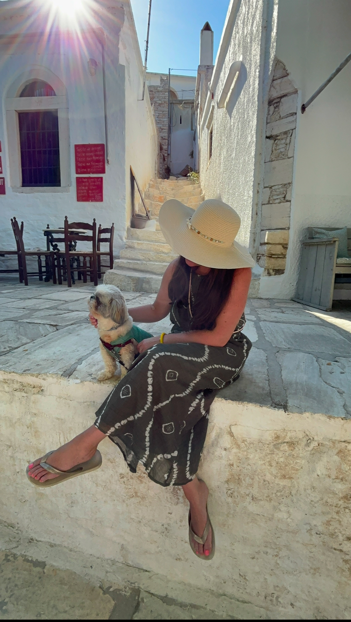 Luxury dog-friendly travel with Daisy